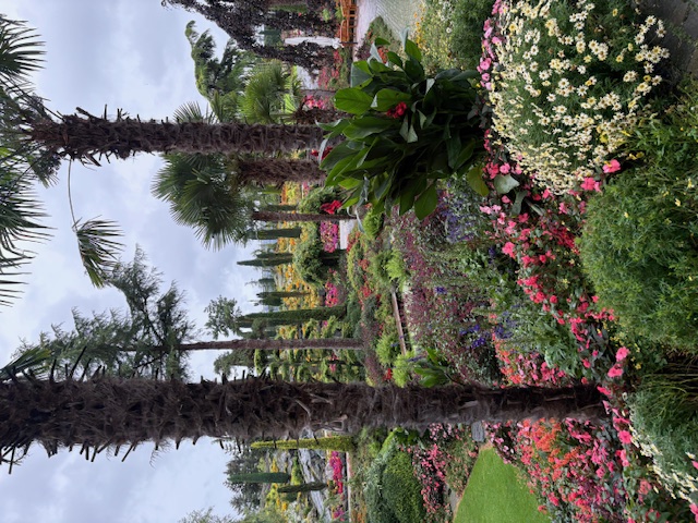 Artikkelbilde til artikkelen 2025 Flor og Fjære